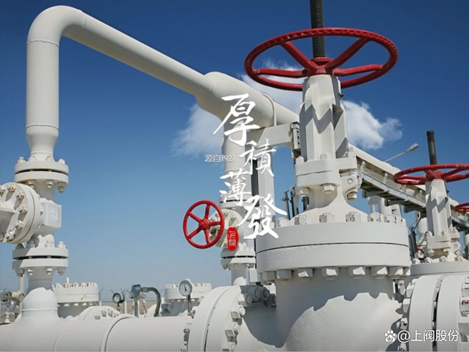 1699600400735514yxXY.jpeg 21ac327ce38b8c6a9b7fae6a3e9f80e99006.jpeg